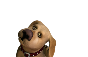 Atopic Dermatitis: Protect Your Pup from the Itch