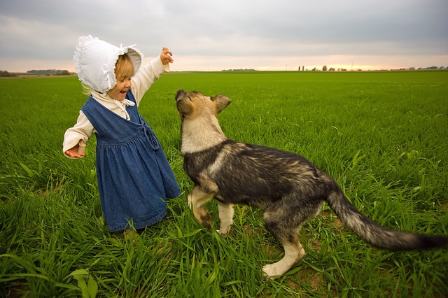 small child and her furry friend playing in a field