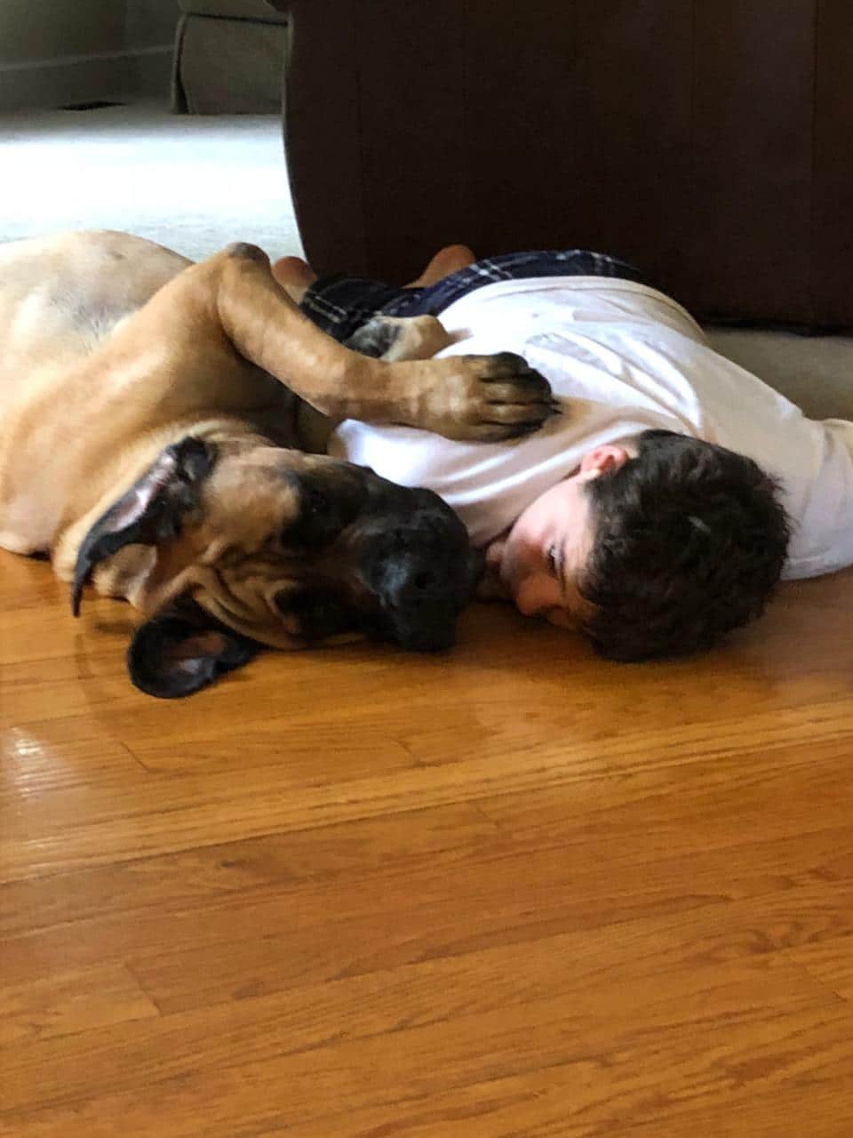 dog cuddling up to his boy