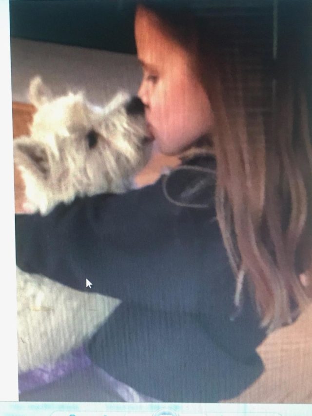 tiny girl kissling a small white dog