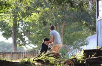 Mom Has Fostered More Than 500 Dogs