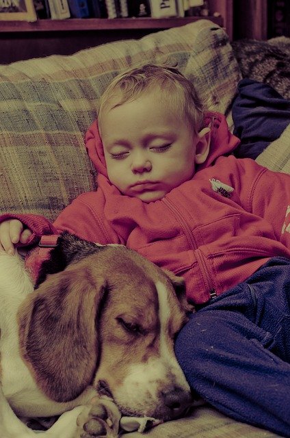 Baby and beagle napping