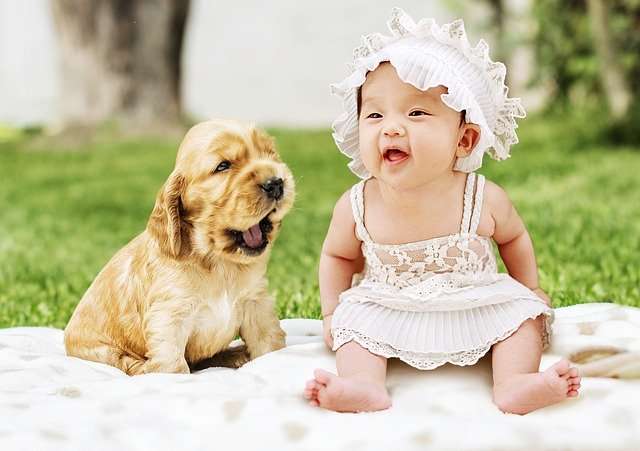 BABY AND DOG
