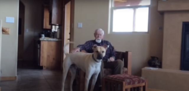 grandpa and his dog