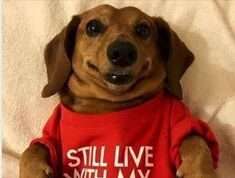 Rescued From A Onesie By His Sister