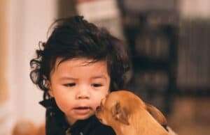 Babies And Fur Babies baby and pup crawling