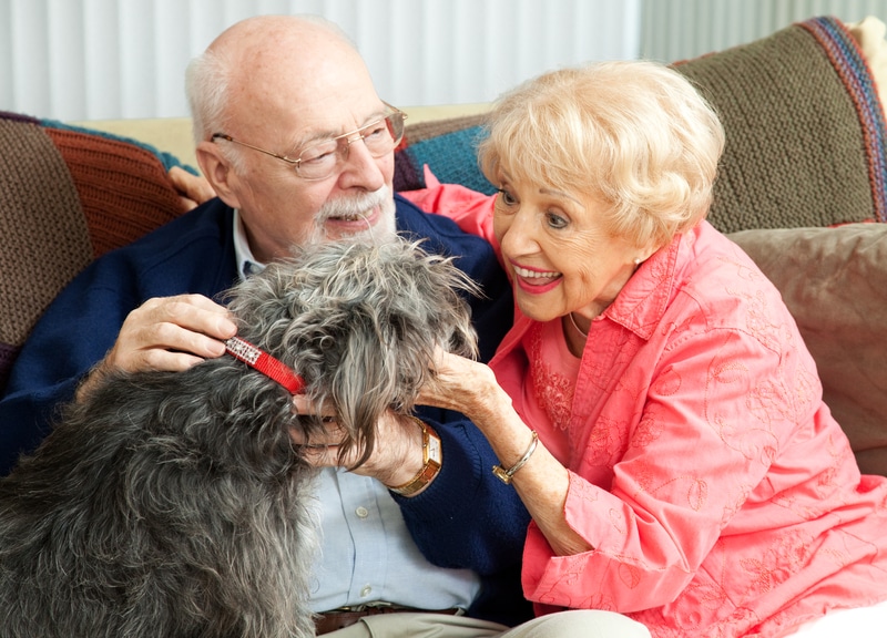 older man and woman with canine companion