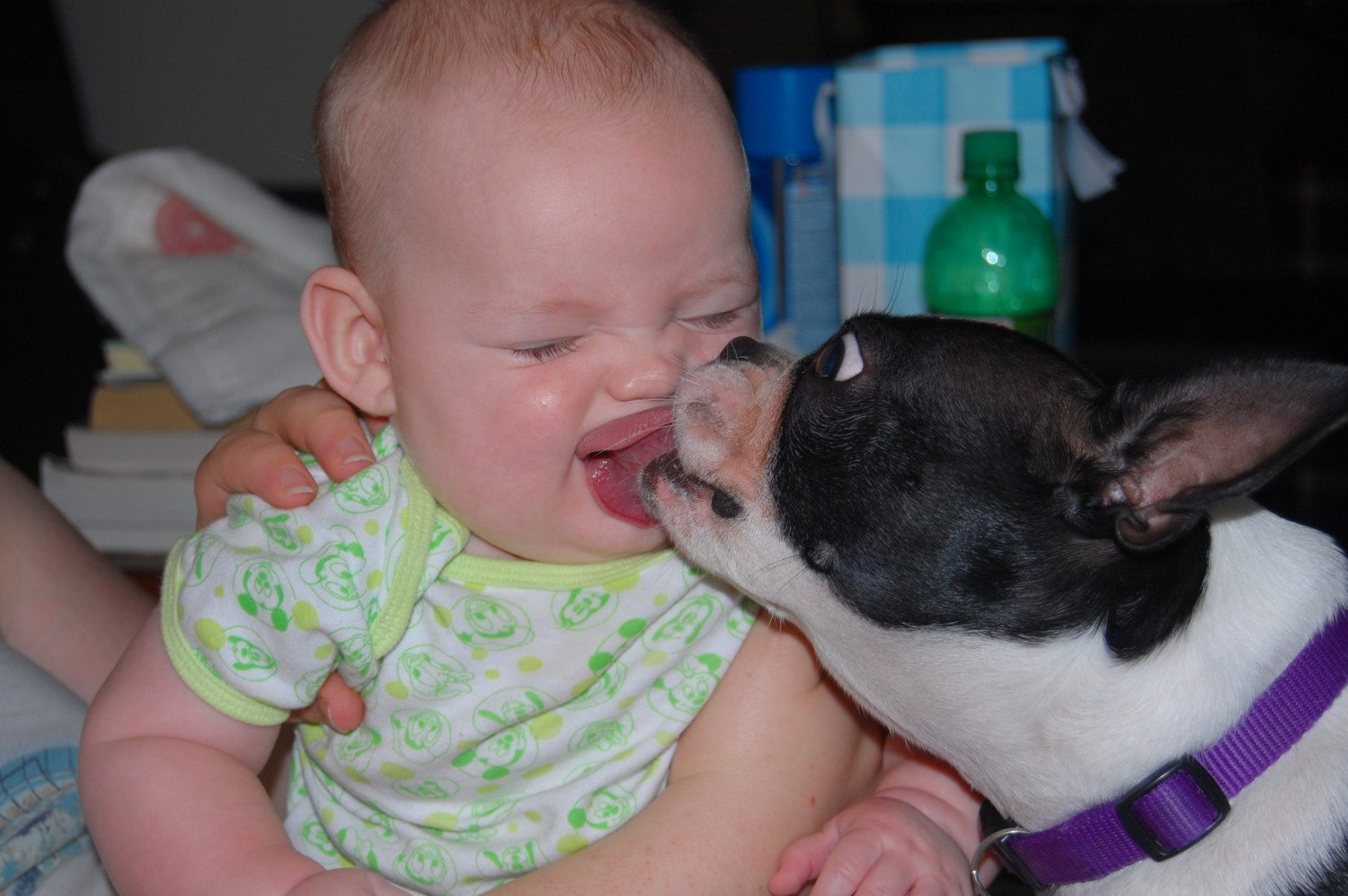dog licking a baby in the face