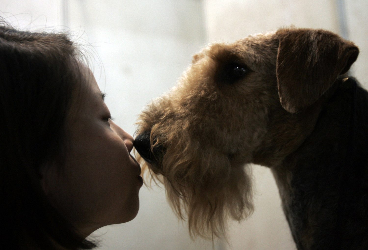 Dog kissing his fur mama