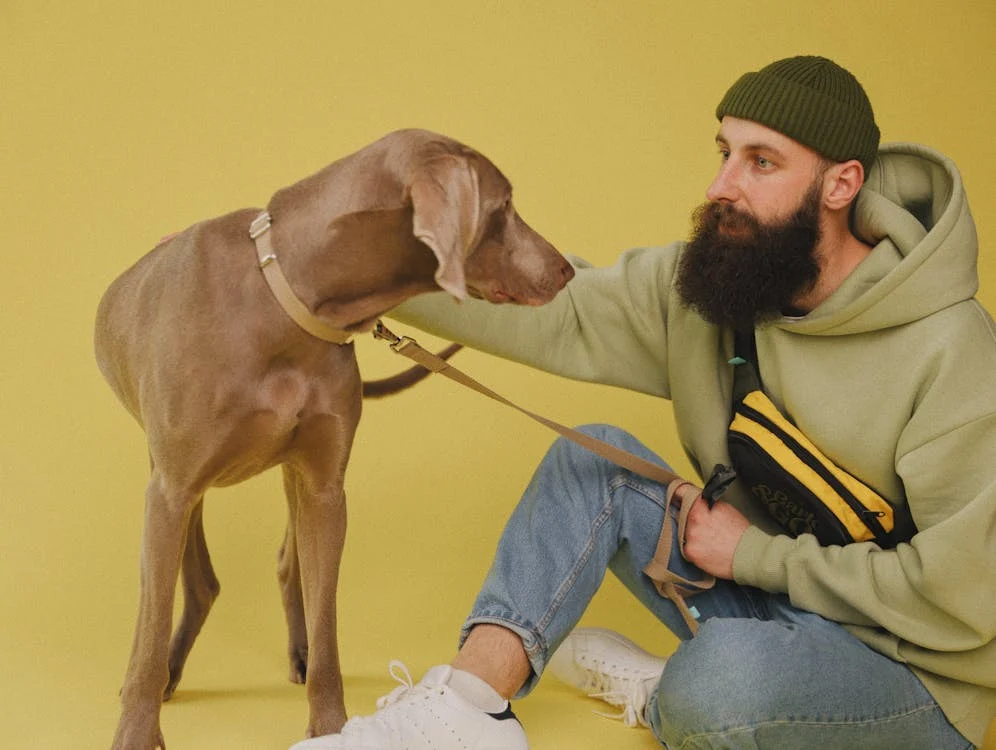 DOG WITH A YELLOW LEASH