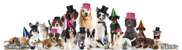 Popular dog breeds from around the world are shown in holiday costumes