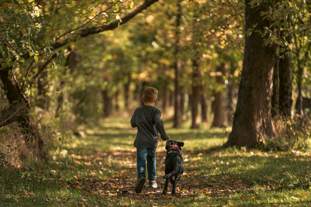 kid and dog walking in the fall, one of the best times of year to adopt a dog