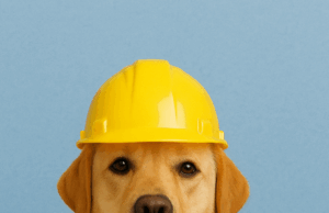 The History of Labor Day: How the Holiday Began and Why It Matters Labrador with hard hat and happy Labor Day sign