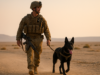 Military Working Dog Hero: The Courage of Staff Sergeant Posha