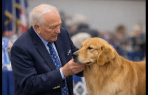 What Judges Are Really Evaluating in the Show Ring judges evaluating dogs in the show ring during a hands-on conformation examination