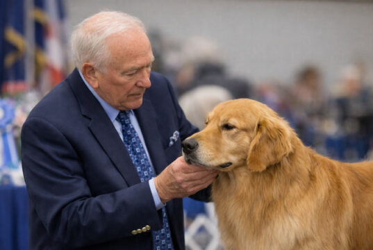 What Judges Are Really Evaluating in the Show Ring judges evaluating dogs in the show ring during a hands-on conformation examination
