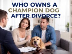 Who Owns a Champion Dog After Divorce? Registration, Rights, and Real-World Outcomes who owns a champion dog after divorce legal ownership dispute