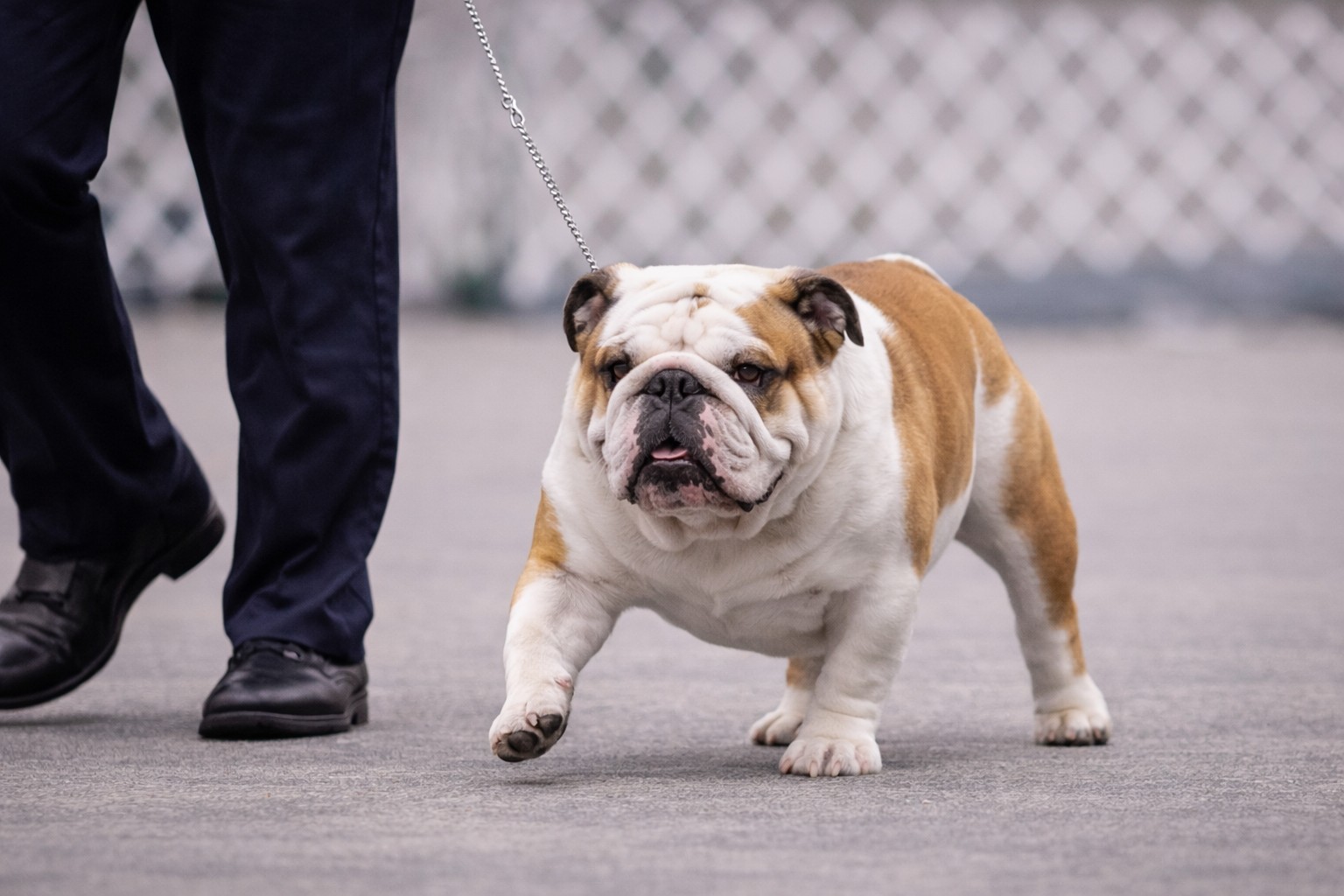 Inline Image 2 (Exaggeration Example – Structural Limitation) to visually counterbalance this one.