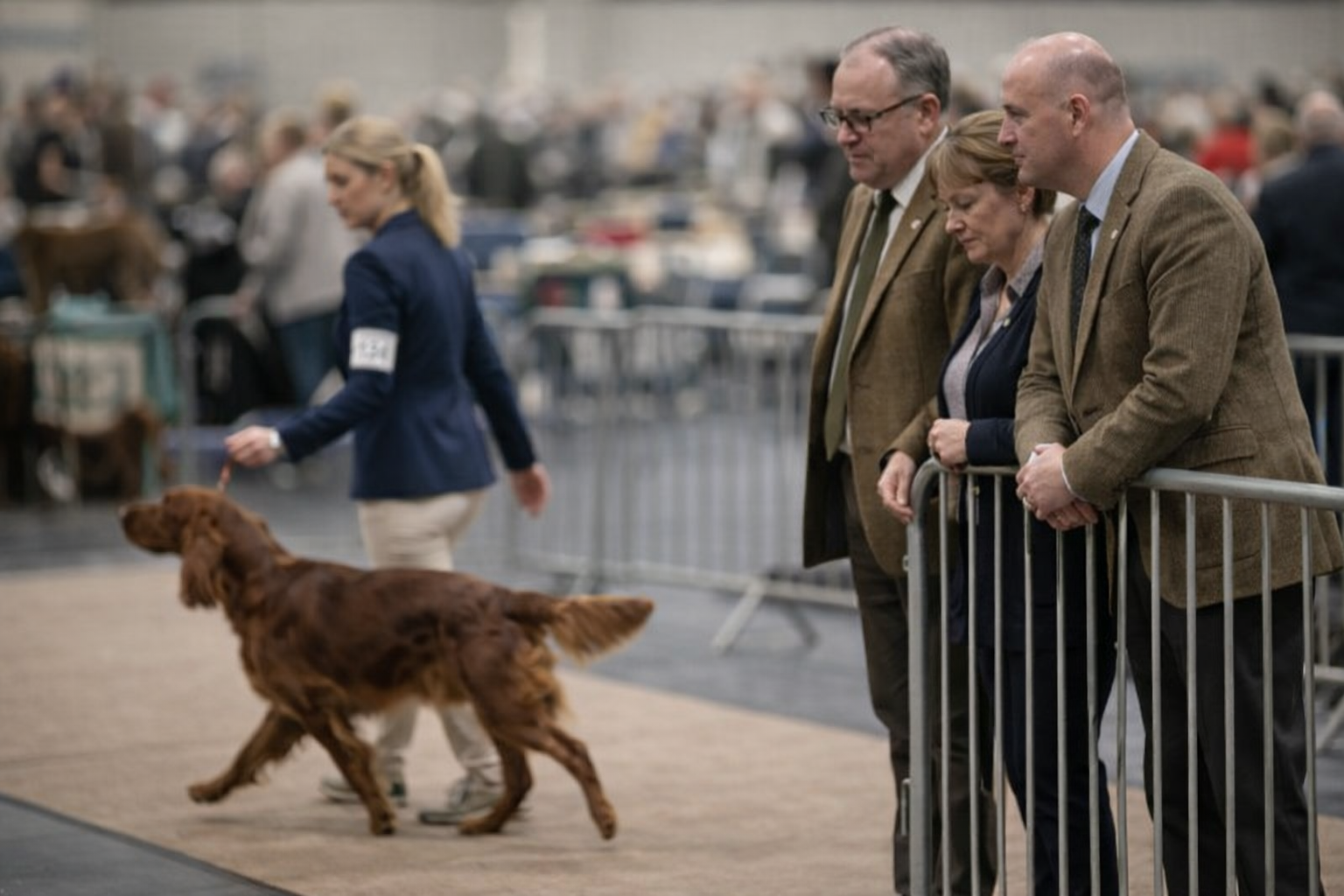 Dog show spectators leaning forward watching dogs in the ring
