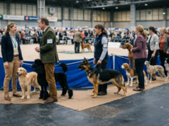 Dog Show People Secrets: Things Dog Show People Will Never Admit