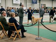 The Quiet Ringside Experts: Why Some Dog Show People See More Than They Say Dog show experts watching quietly from ringside as handlers present dogs in a conformation ring