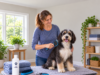 How to Groom Your Dog at Home: What Owners Can Safely Do Themselves Woman brushing her dog at home with grooming supplies nearby