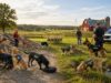 Working Dog Jobs: What Dogs Actually Do for a Living **Filename:** `working-dog-jobs-labor-day.jpg` **Alt text:** `Working dogs performing service, detection, search and rescue, herding, conservation, and police K-9 jobs`